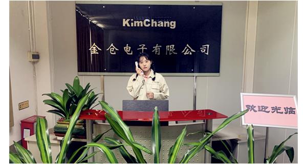 恭喜东莞市金仓电子有限公司新网站上线